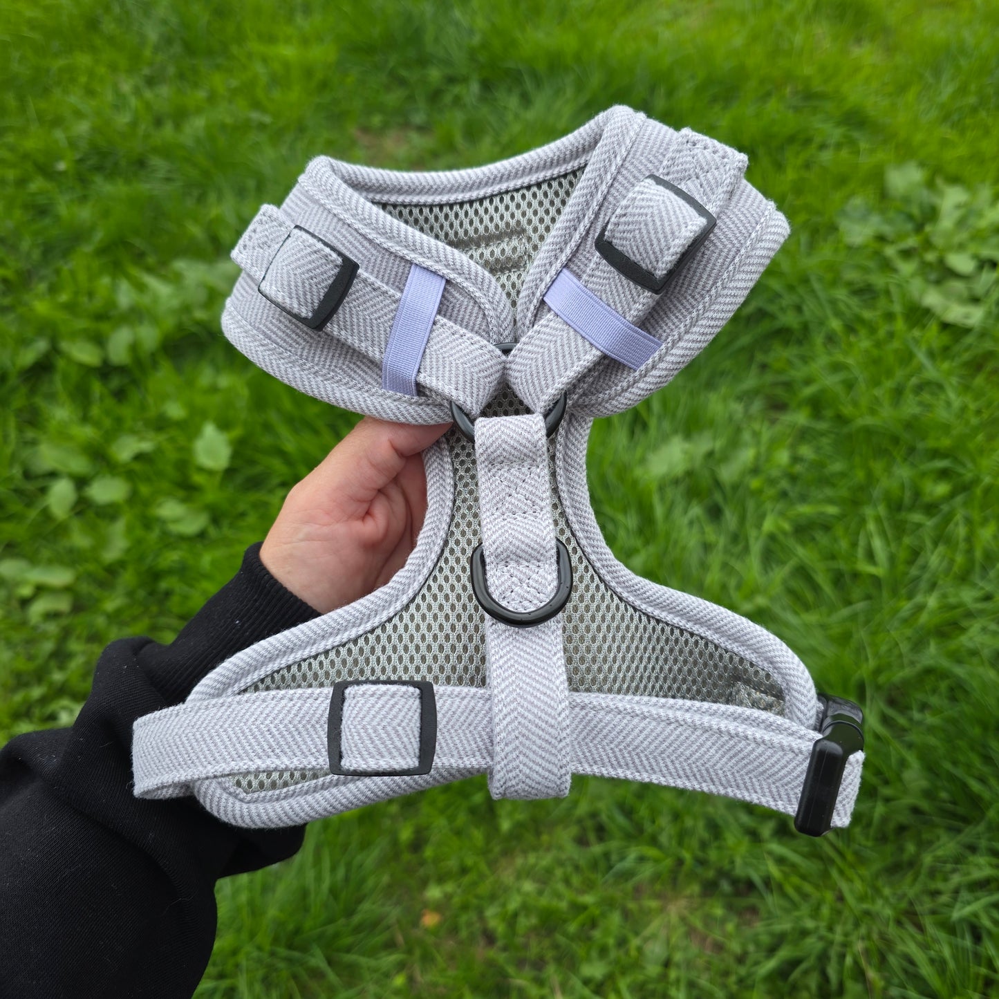 Modern Muse Harness