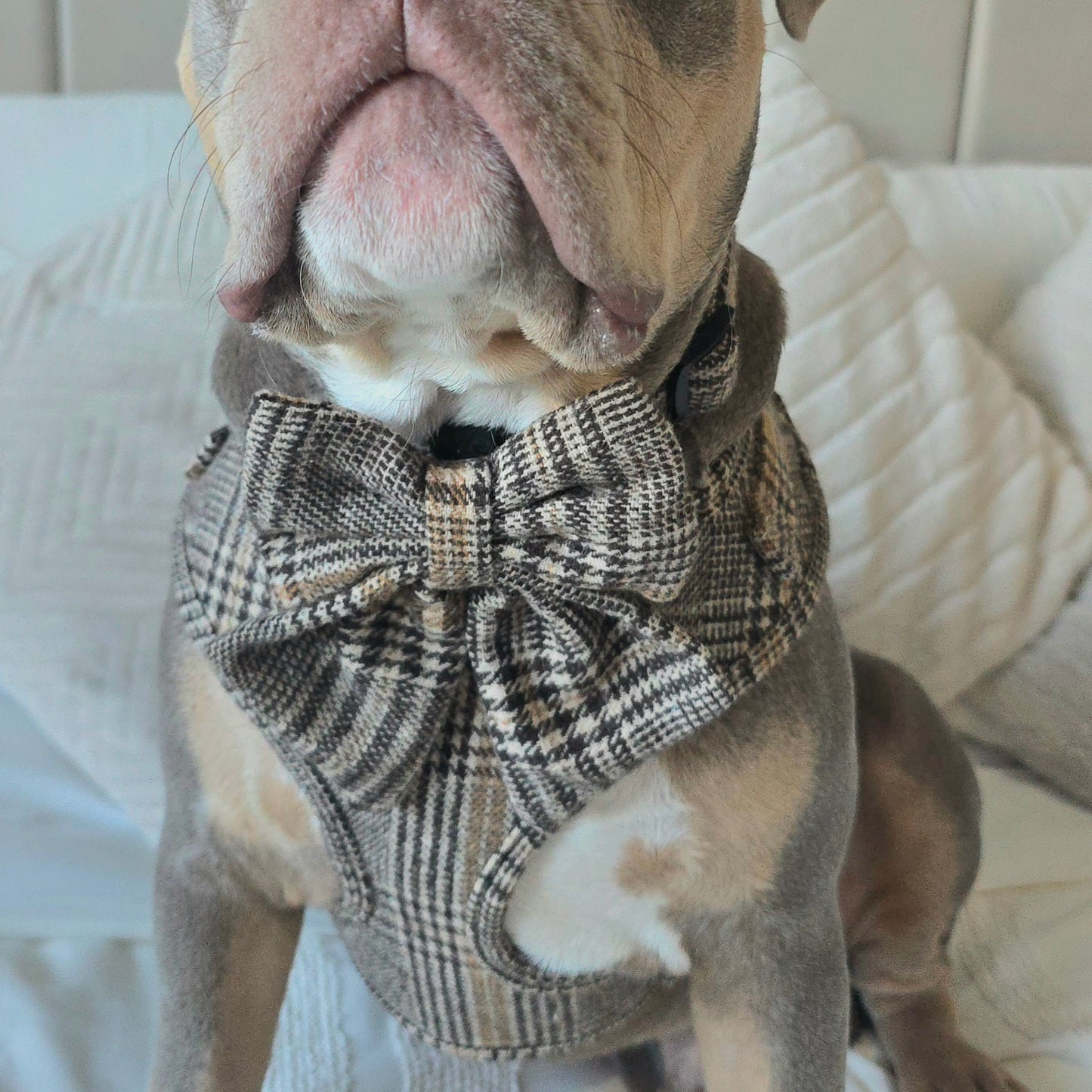 Brown Glen Check Sailor Bow Tie