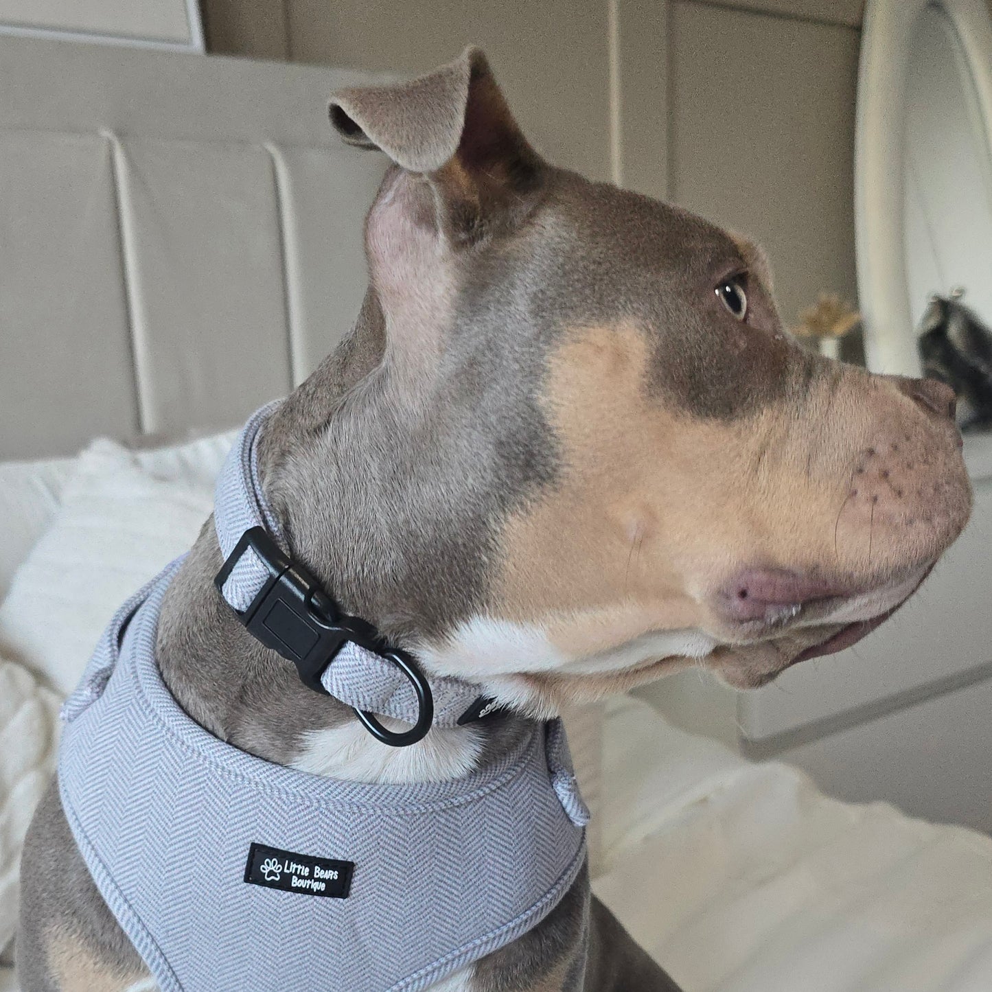 Grey Herringbone Tweed Collar