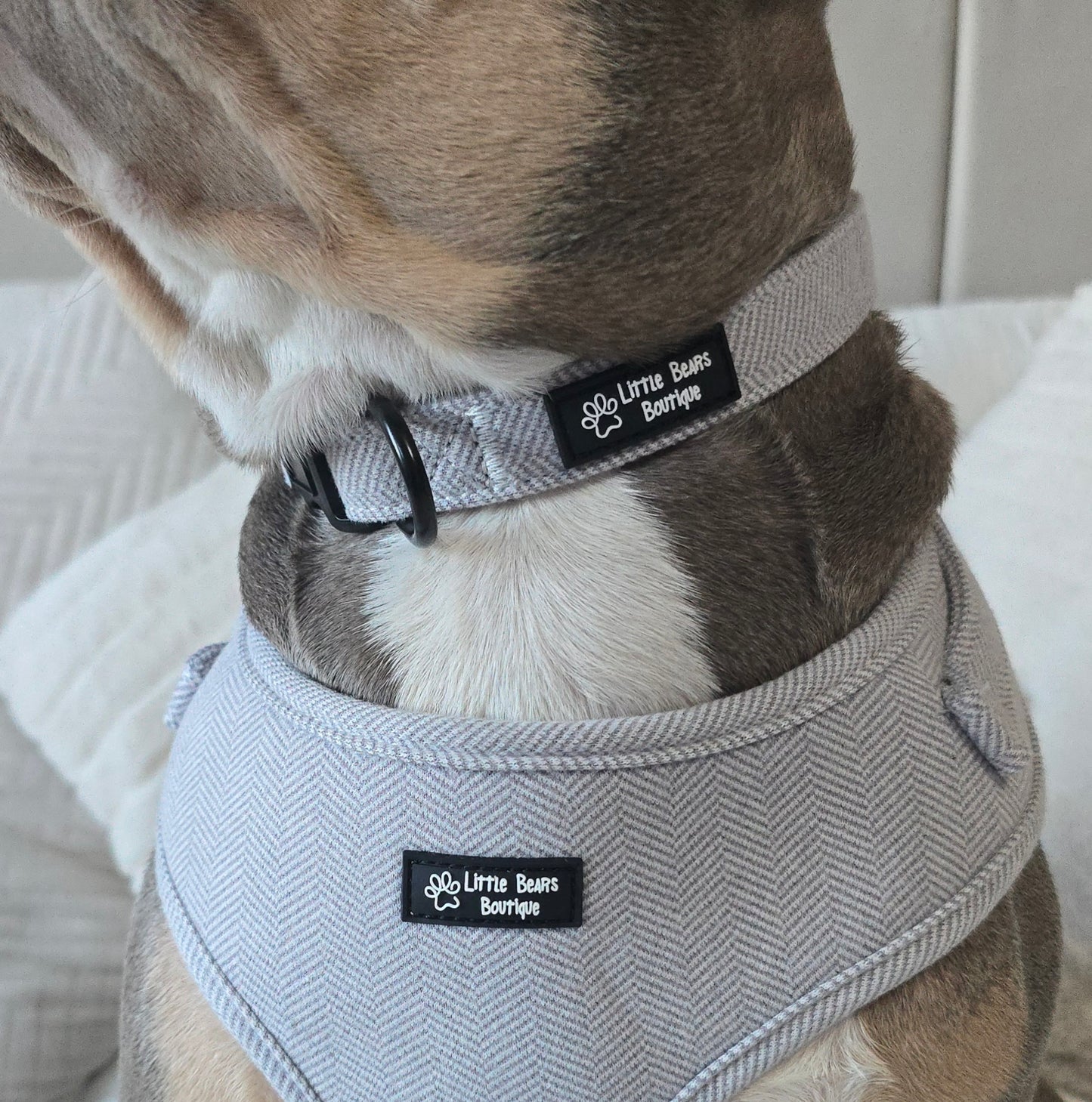 Grey Herringbone Tweed Collar