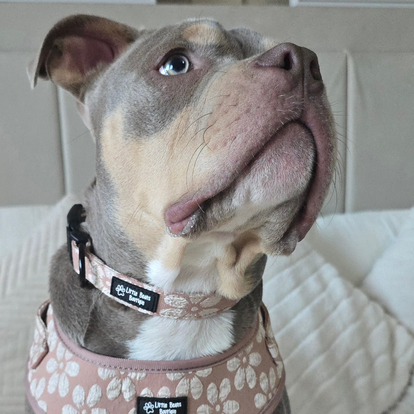 Neutral Floral Jacquard Collar