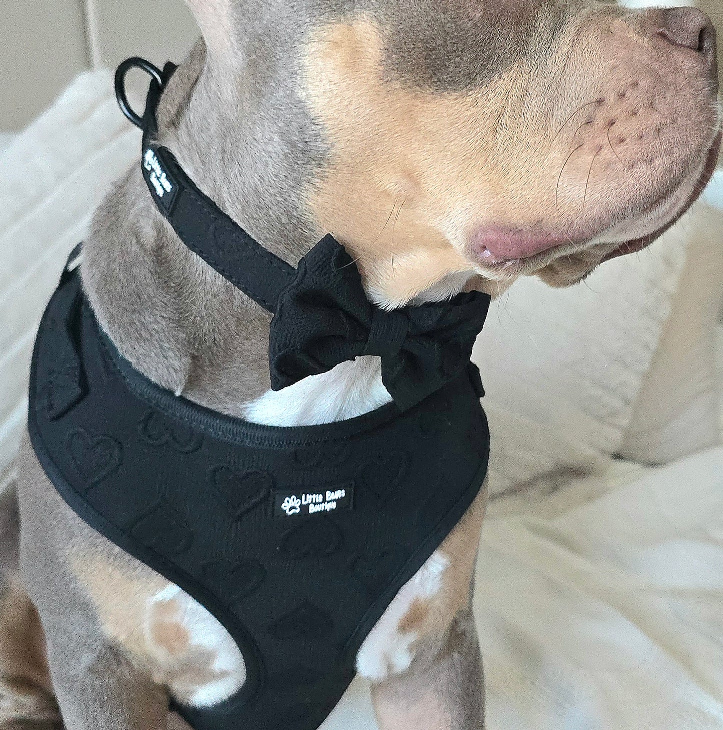 Midnight Hearts Classic Bow Tie