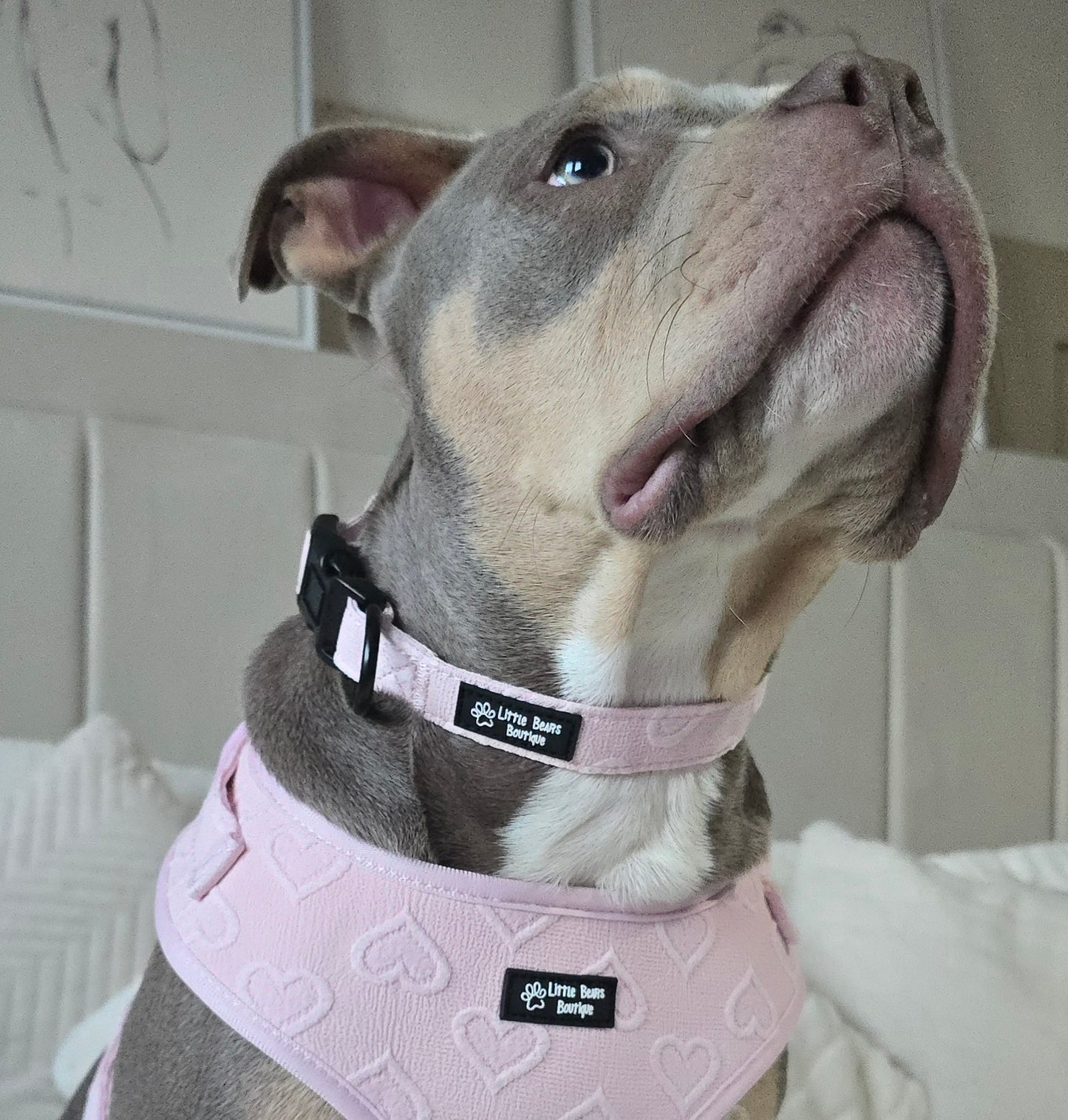 Pink Heart Embroidery Collar