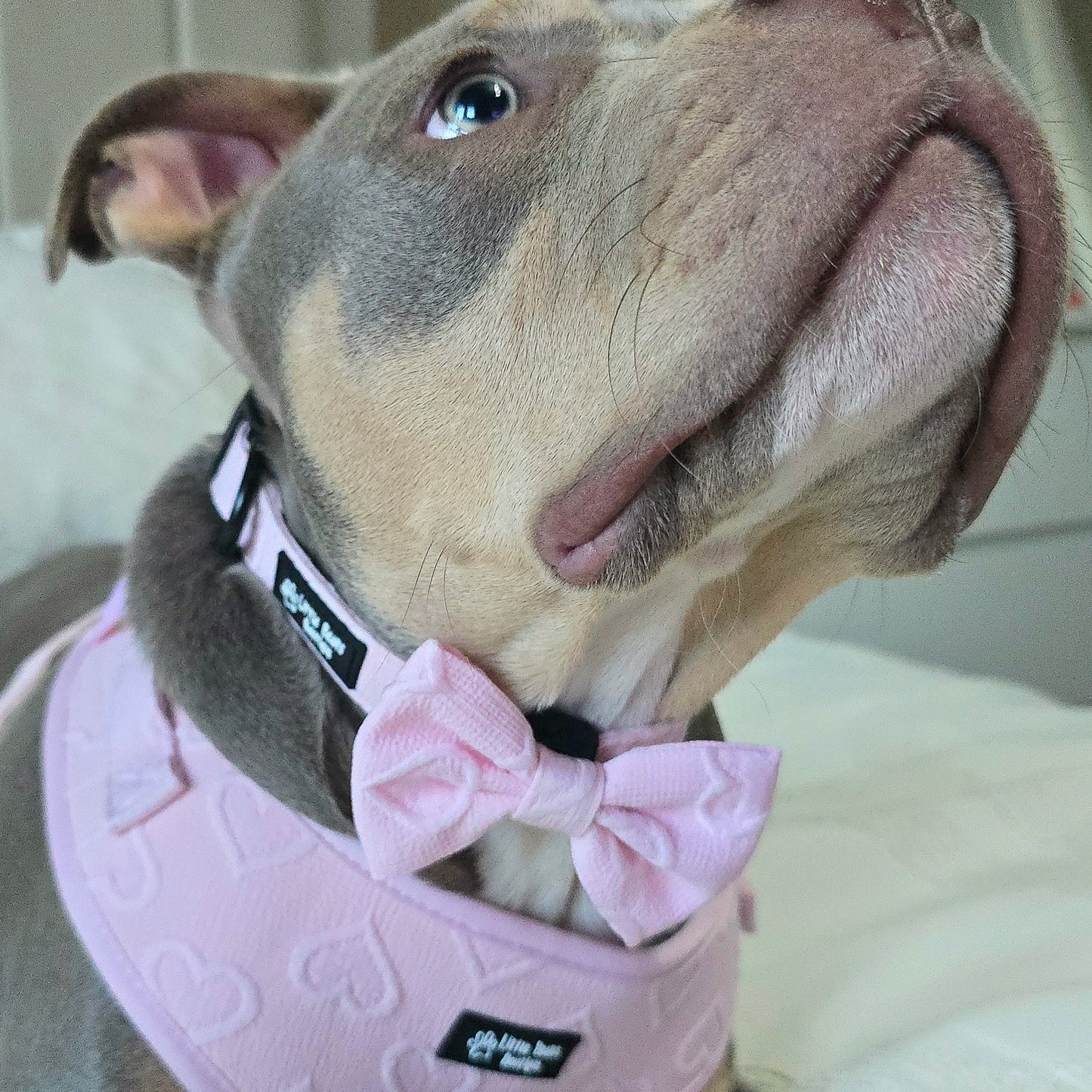 Pink Heart Embroidery Classic Bow Tie