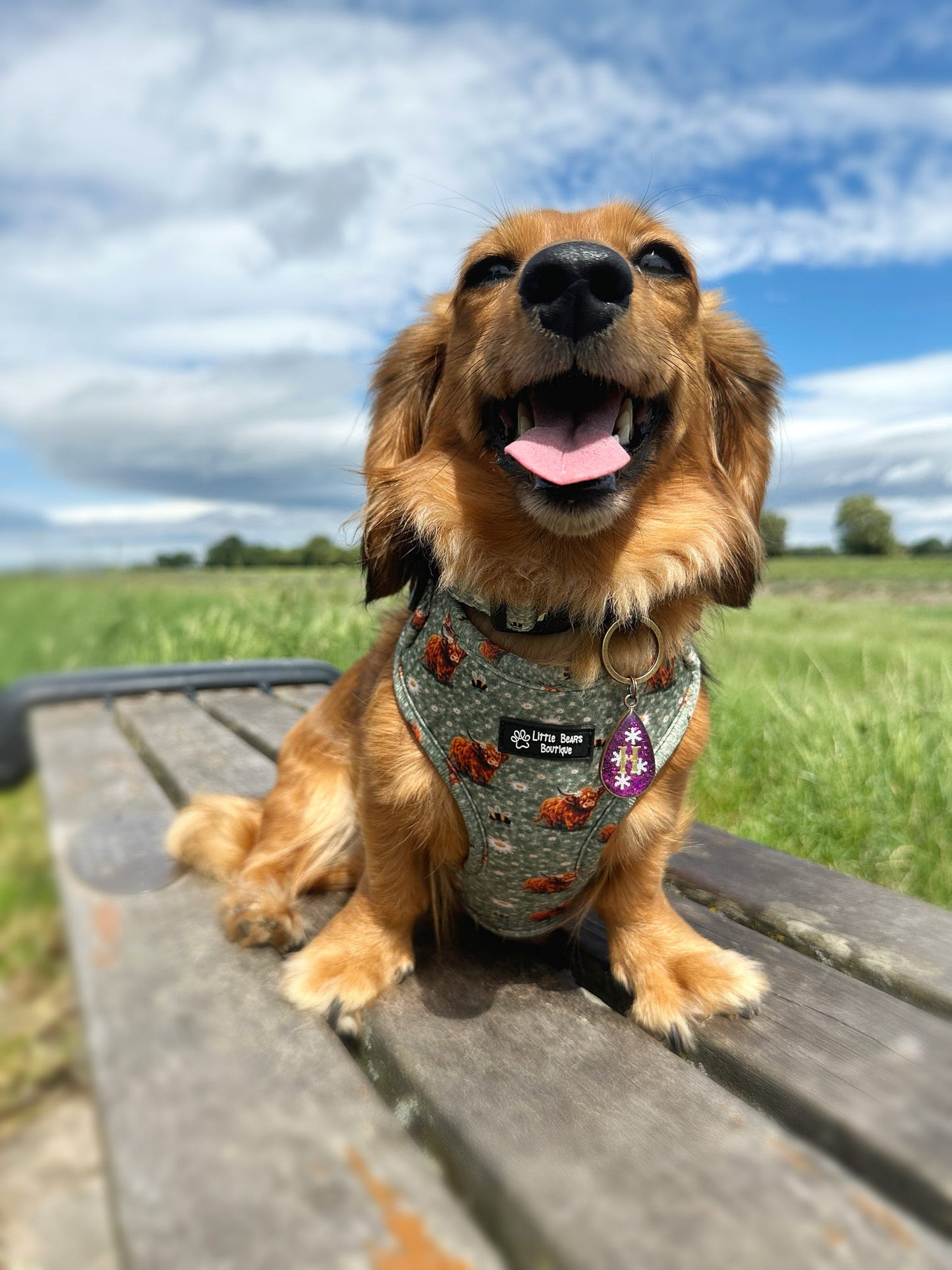 Moo Meadow - Overhead Harness