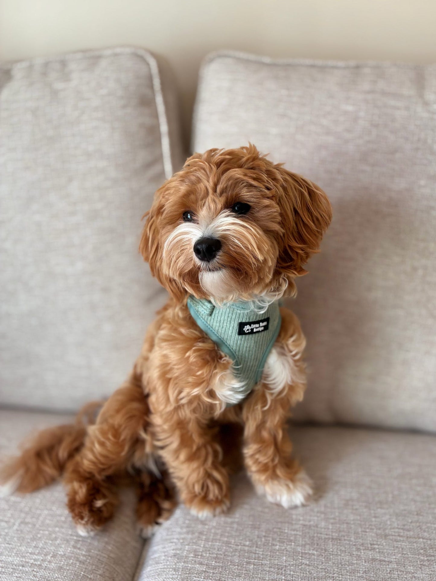 Soft Sage - Over Head Harness