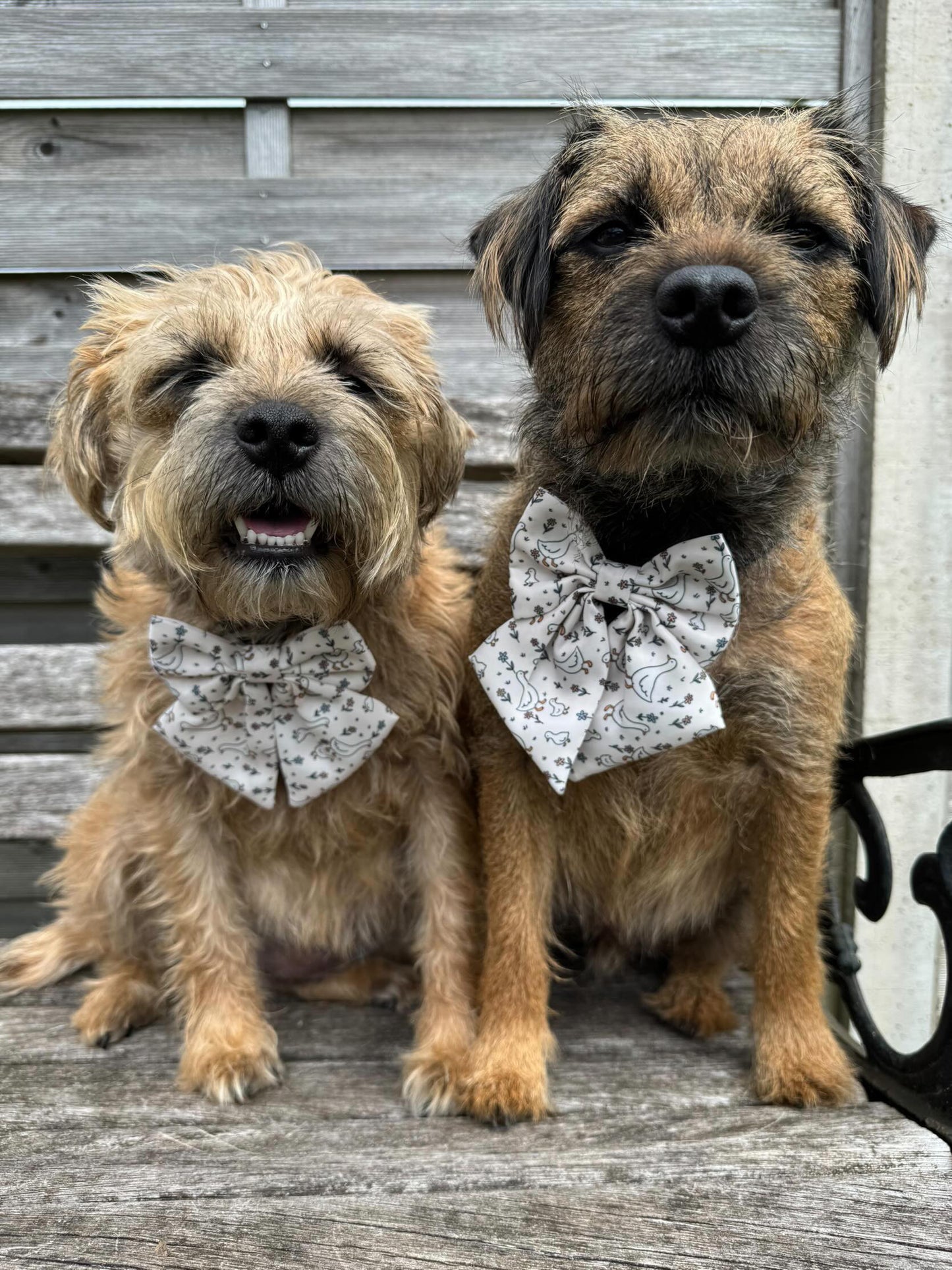 Waddle & Bloom Accessories