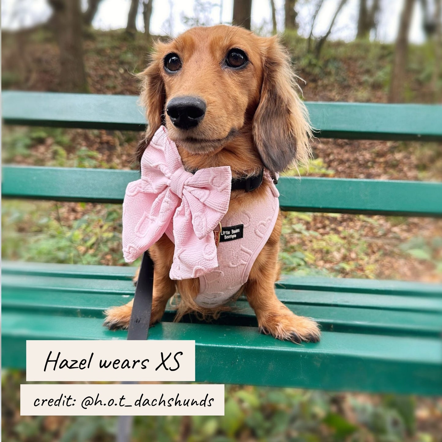 Pink Heart Embroidered Harness