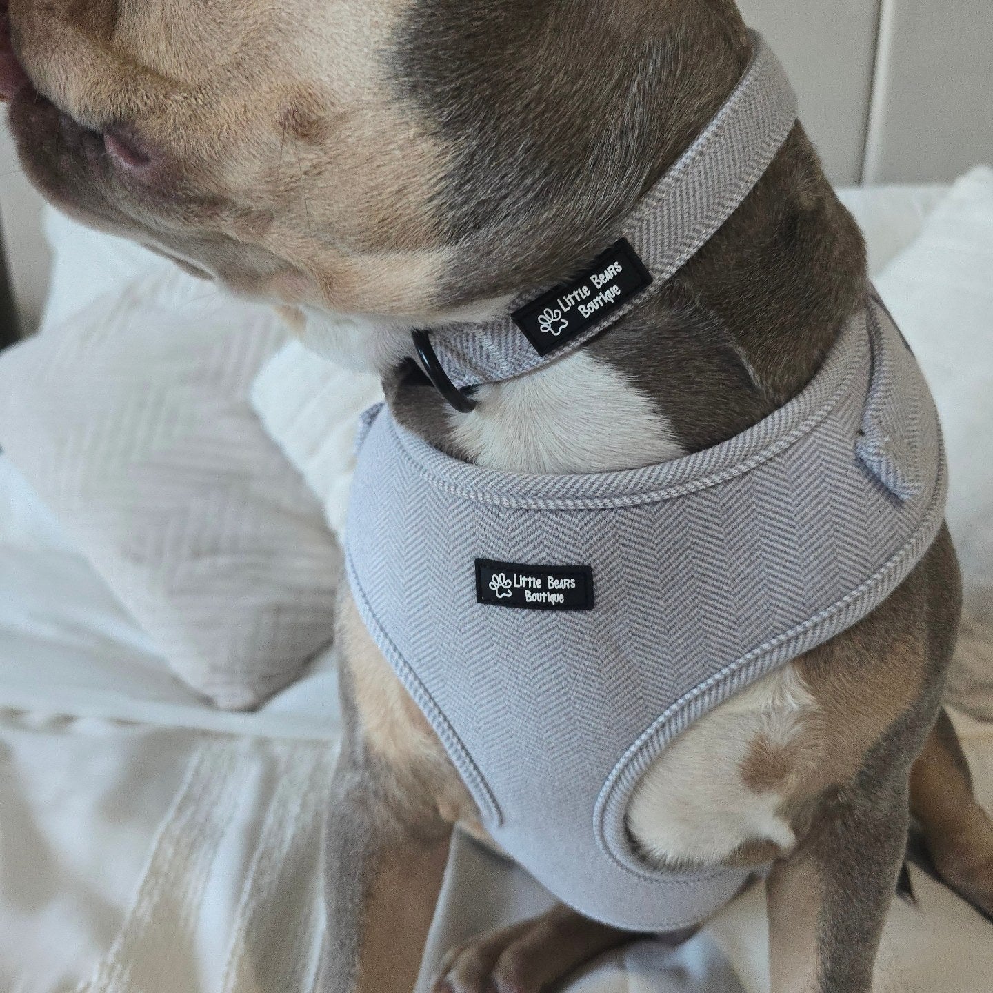 Grey Herringbone Tweed 3 piece Bundle