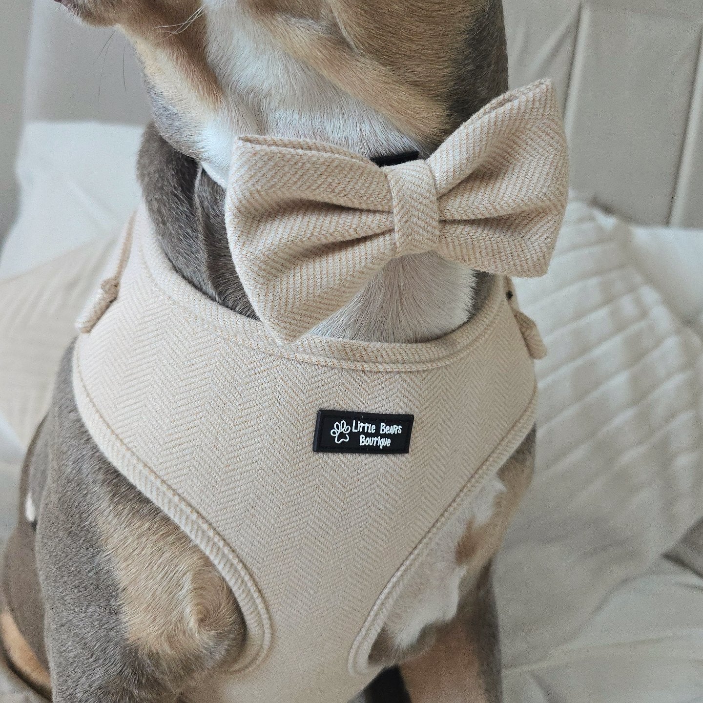 Beige Herringbone Tweed Classic Bow Tie