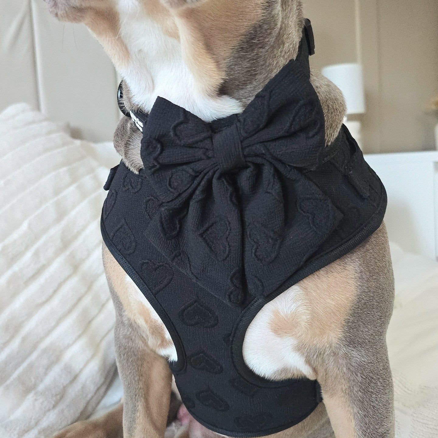 Black Heart Embroidery Sailor Bow Tie
