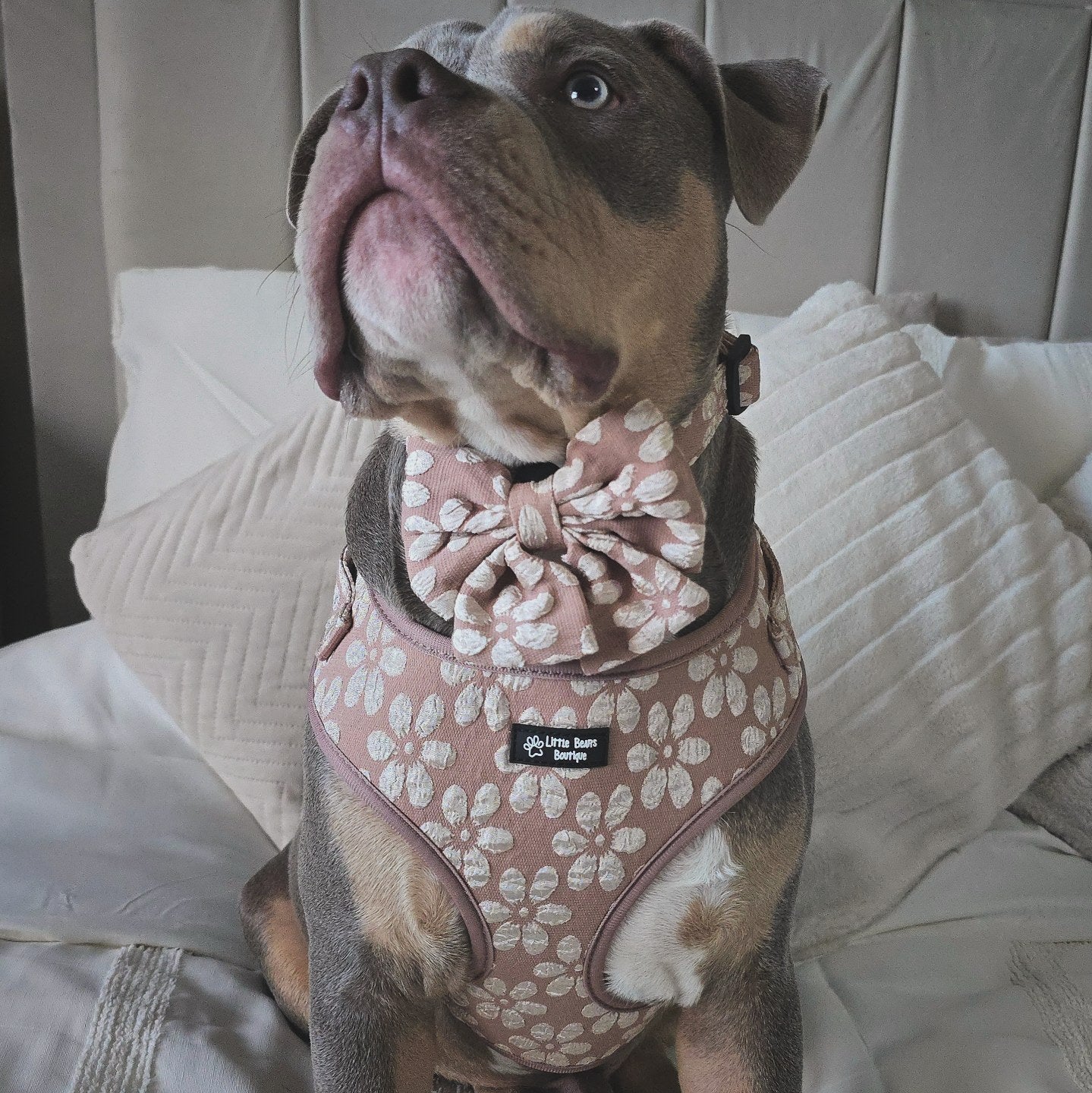 Neutral Floral Jacquard Harness