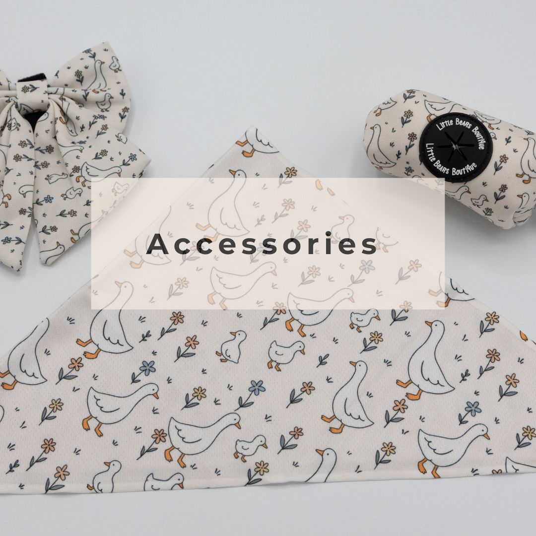 Accessories