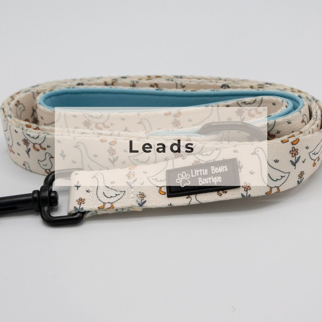 Leads