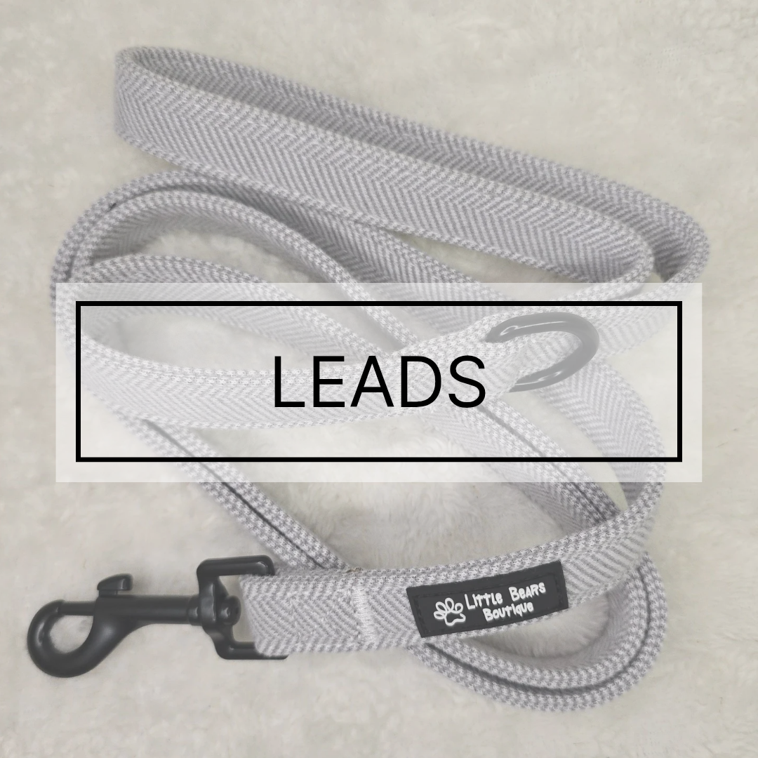 Leads