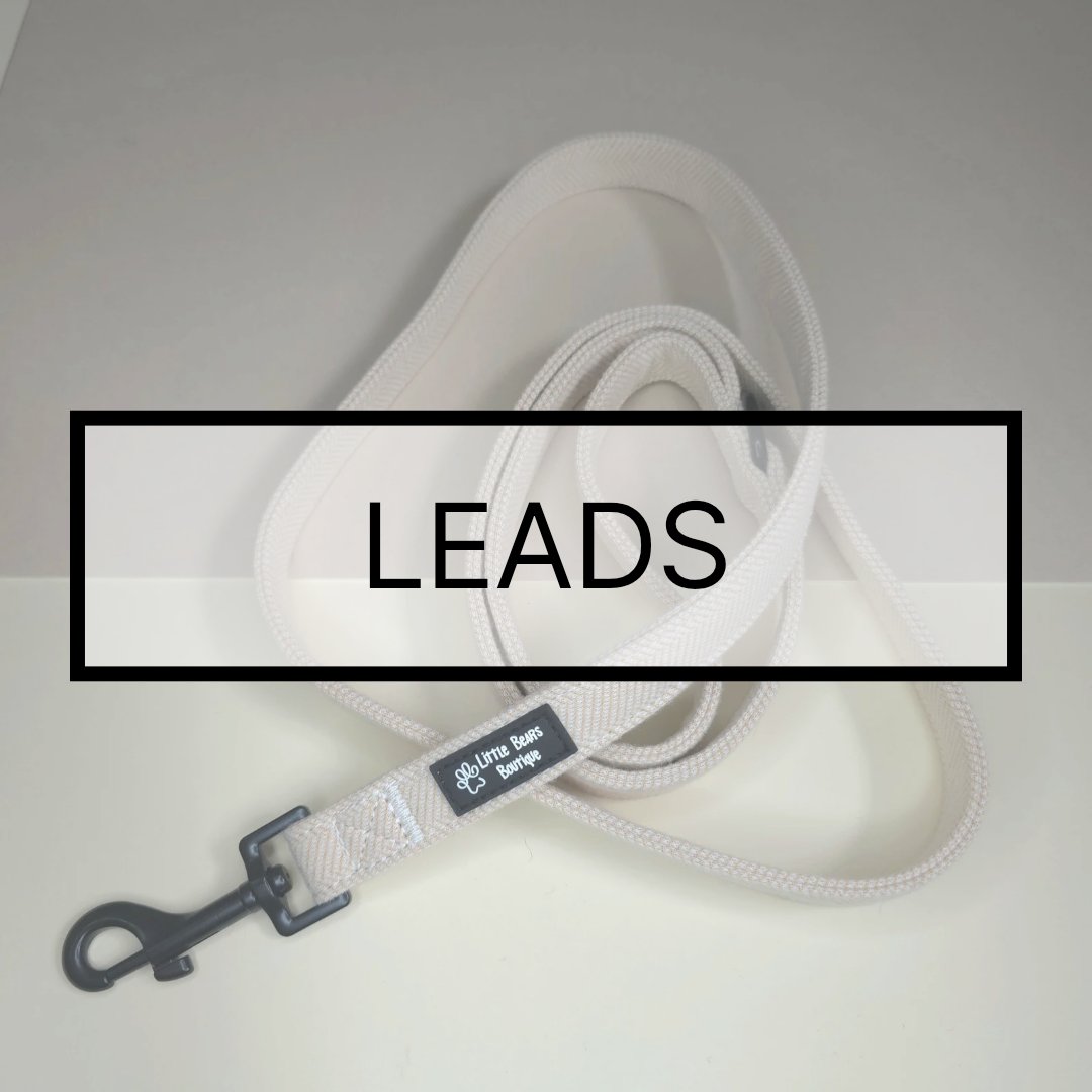 Leads