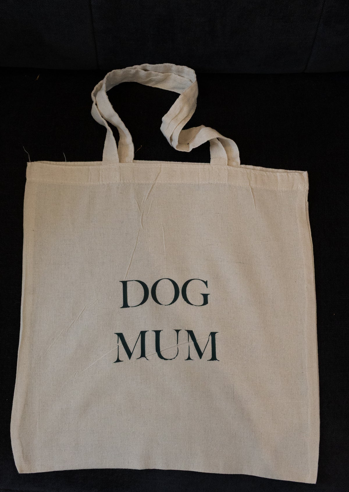 Tote Bags with Slogans