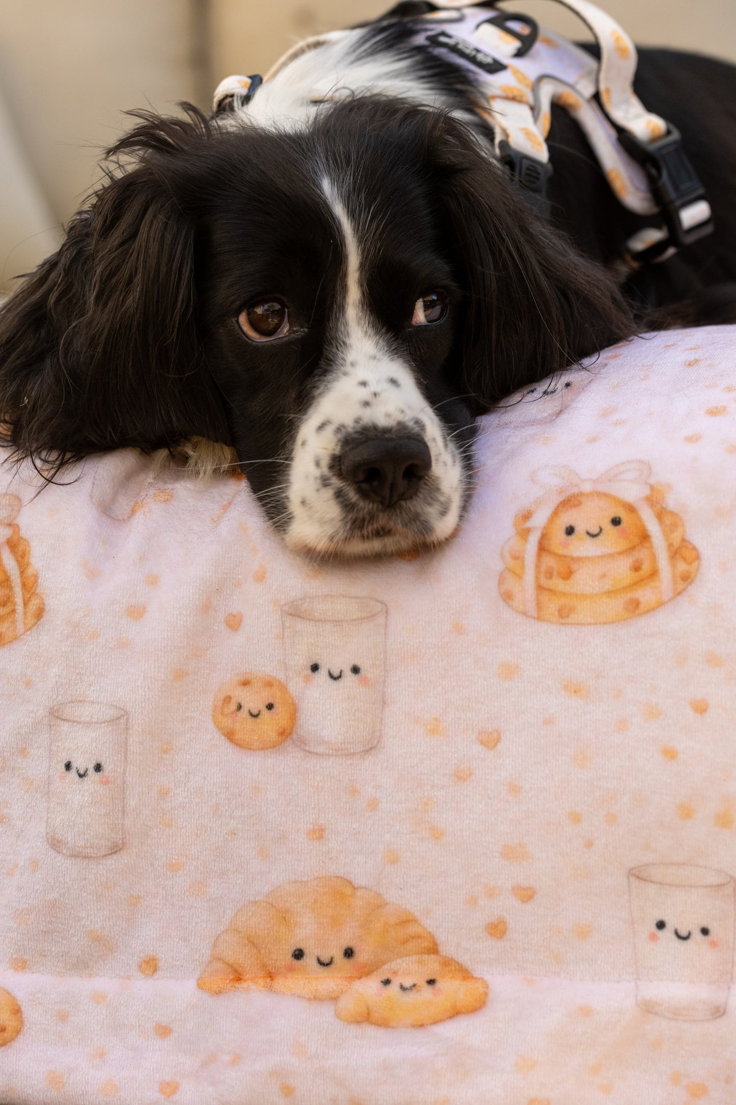 Buttery Brunch Blanket