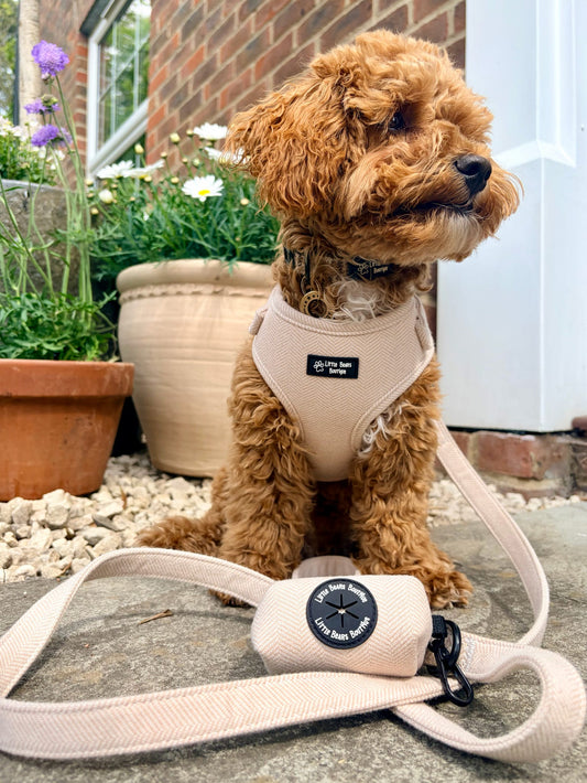 Calm and Cosy Harness
