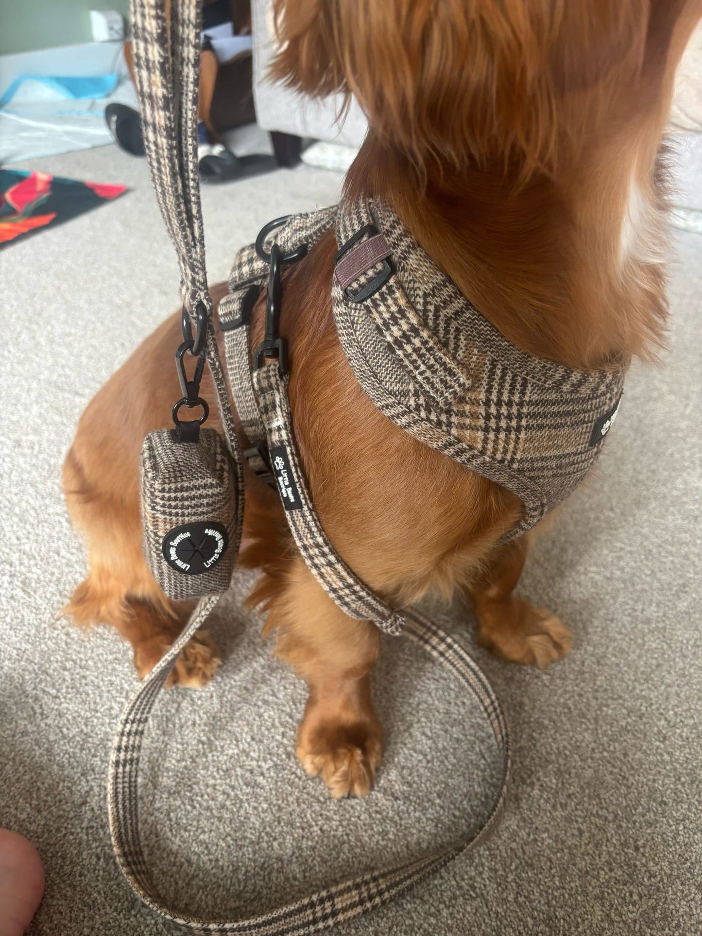 Autumn Tweed Harness