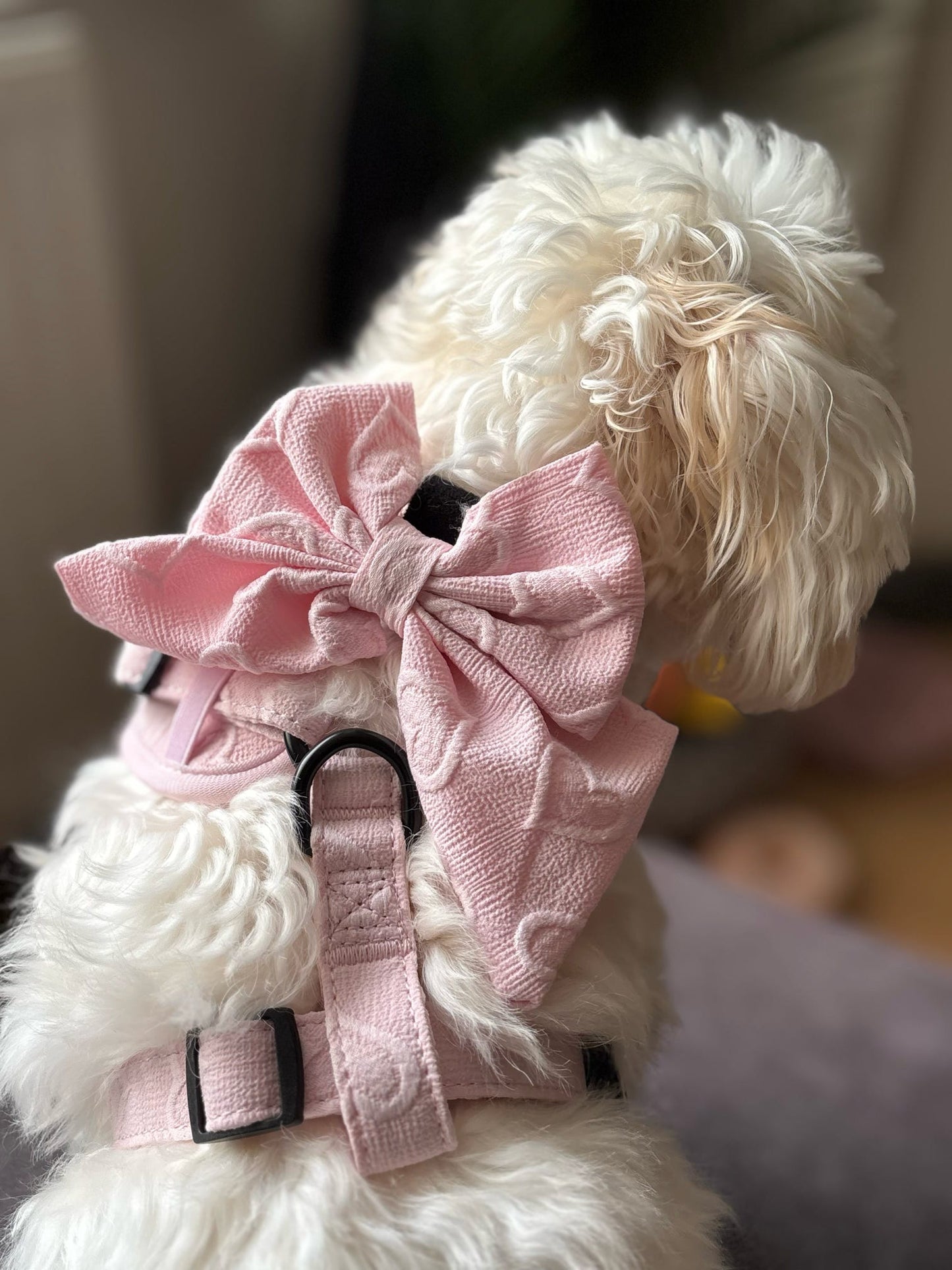 Sweetheart Snuggles Harness