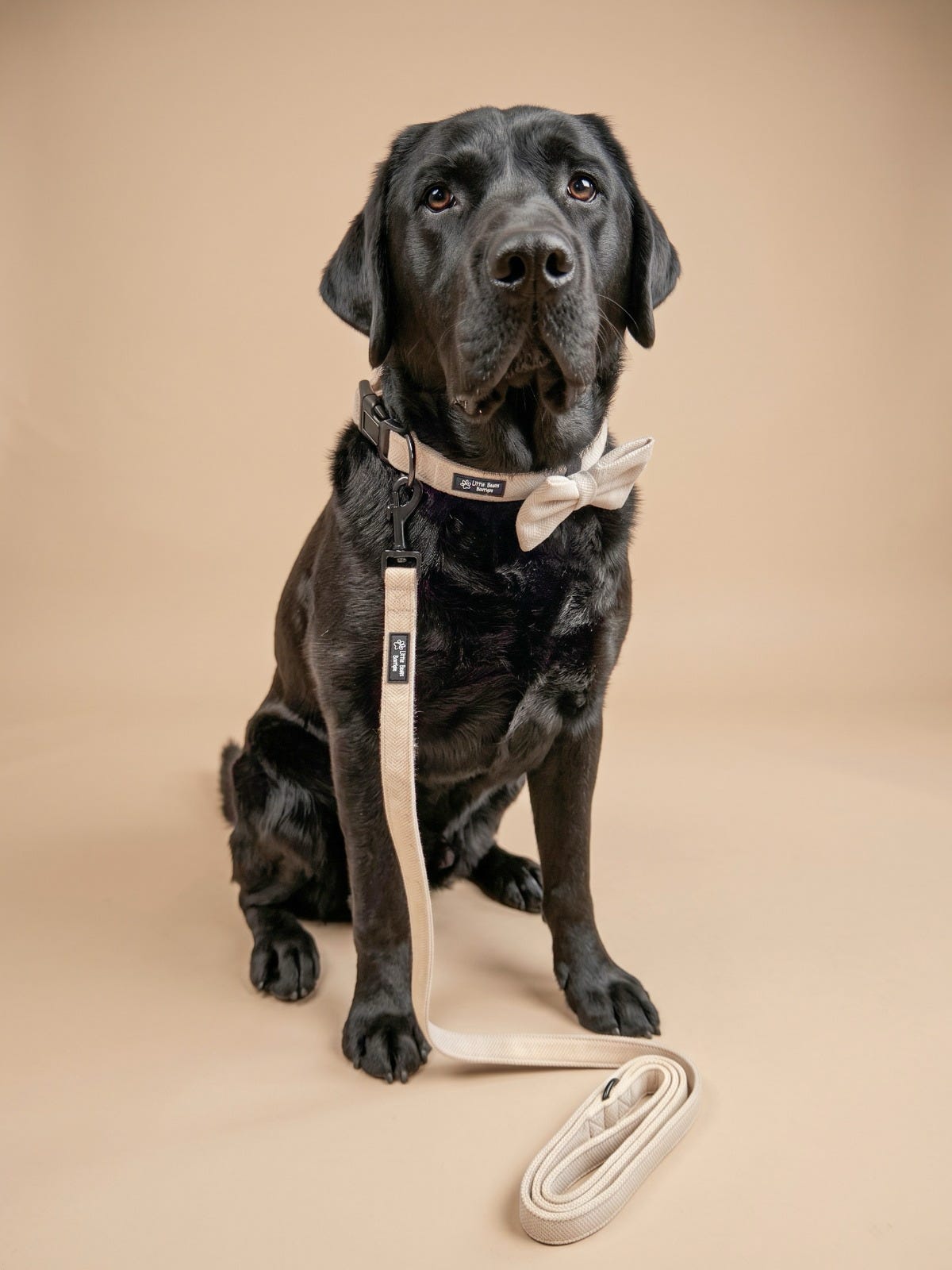 Calm and Cosy  Collar