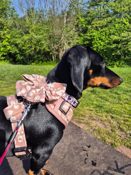Golden Petals Harness