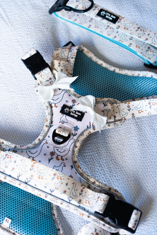 Waddle & Bloom 3 Click Harness