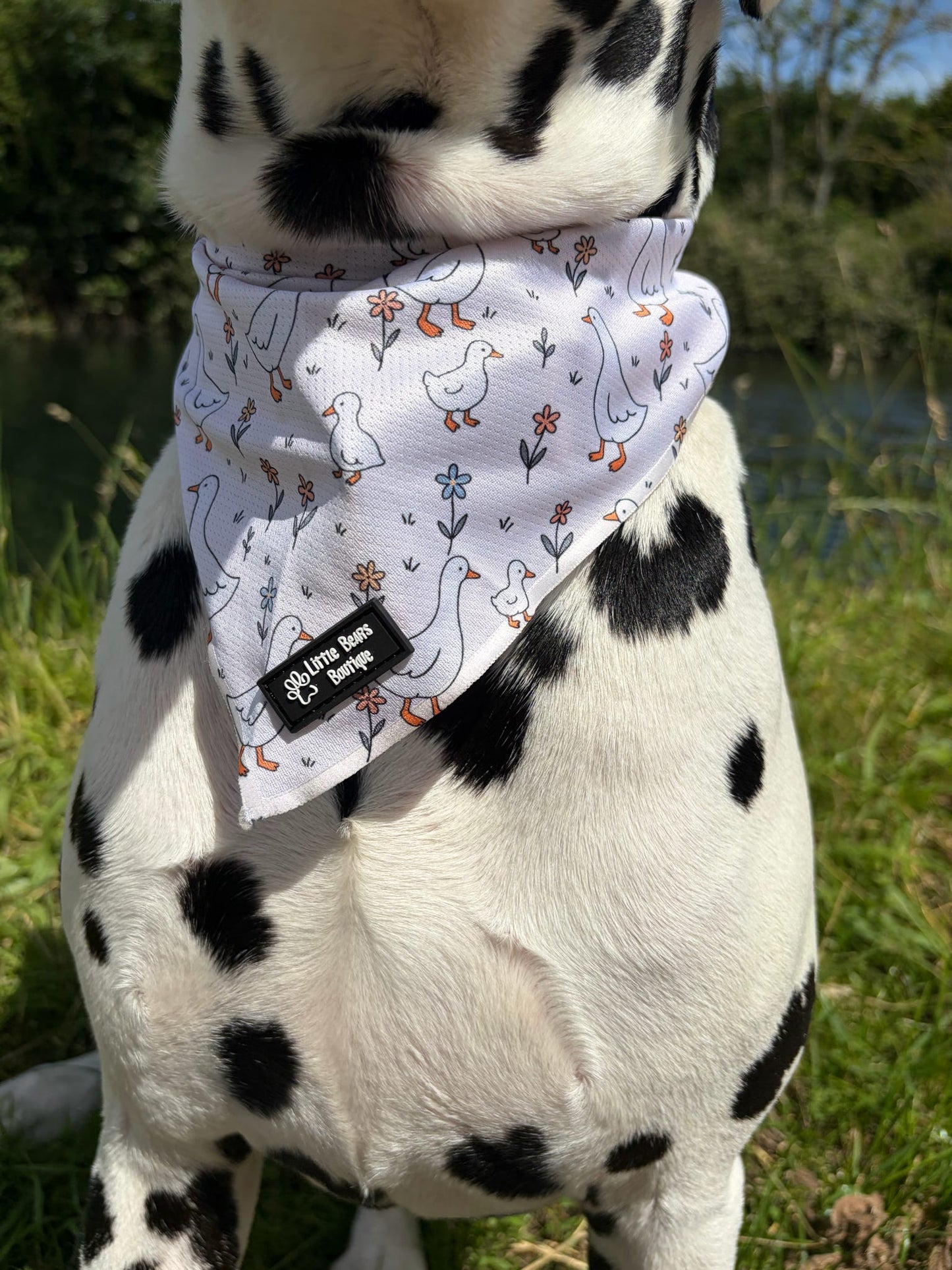 Waddle & Bloom Accessories