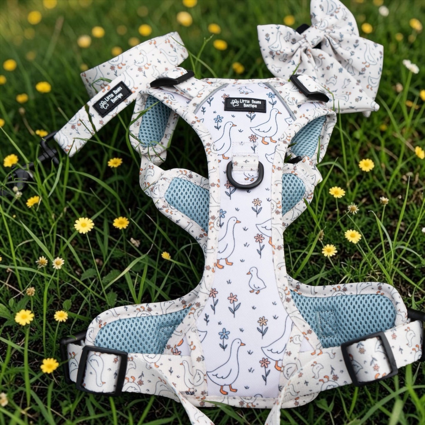 Waddle & Bloom 3 Click Harness
