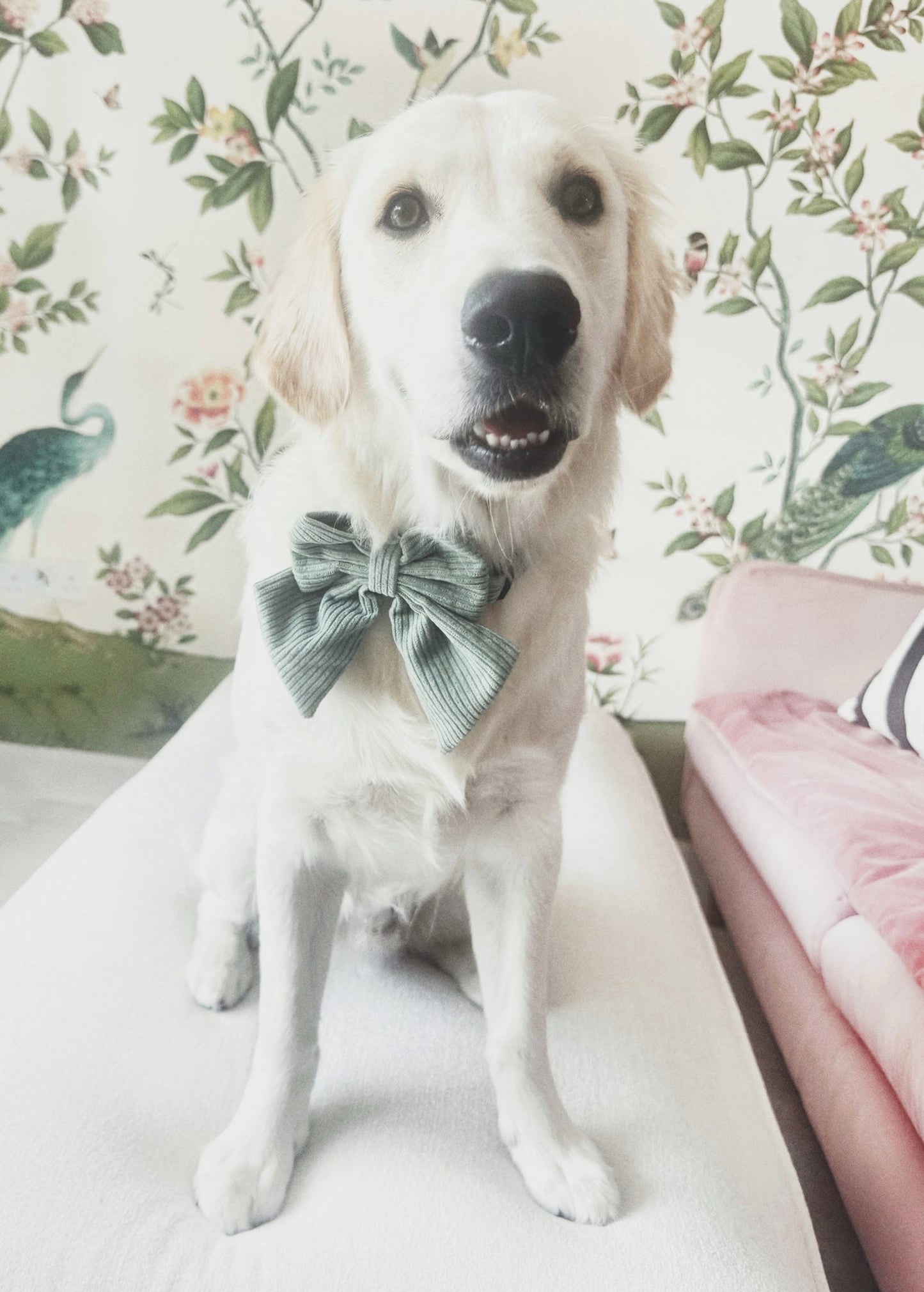 Soft Sage Accessories