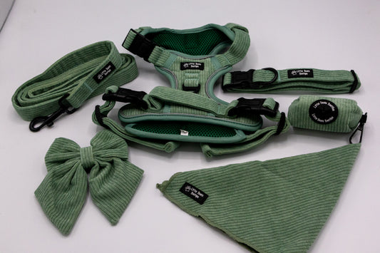 Soft Sage 3 Click Bundle ( 4 Piece)
