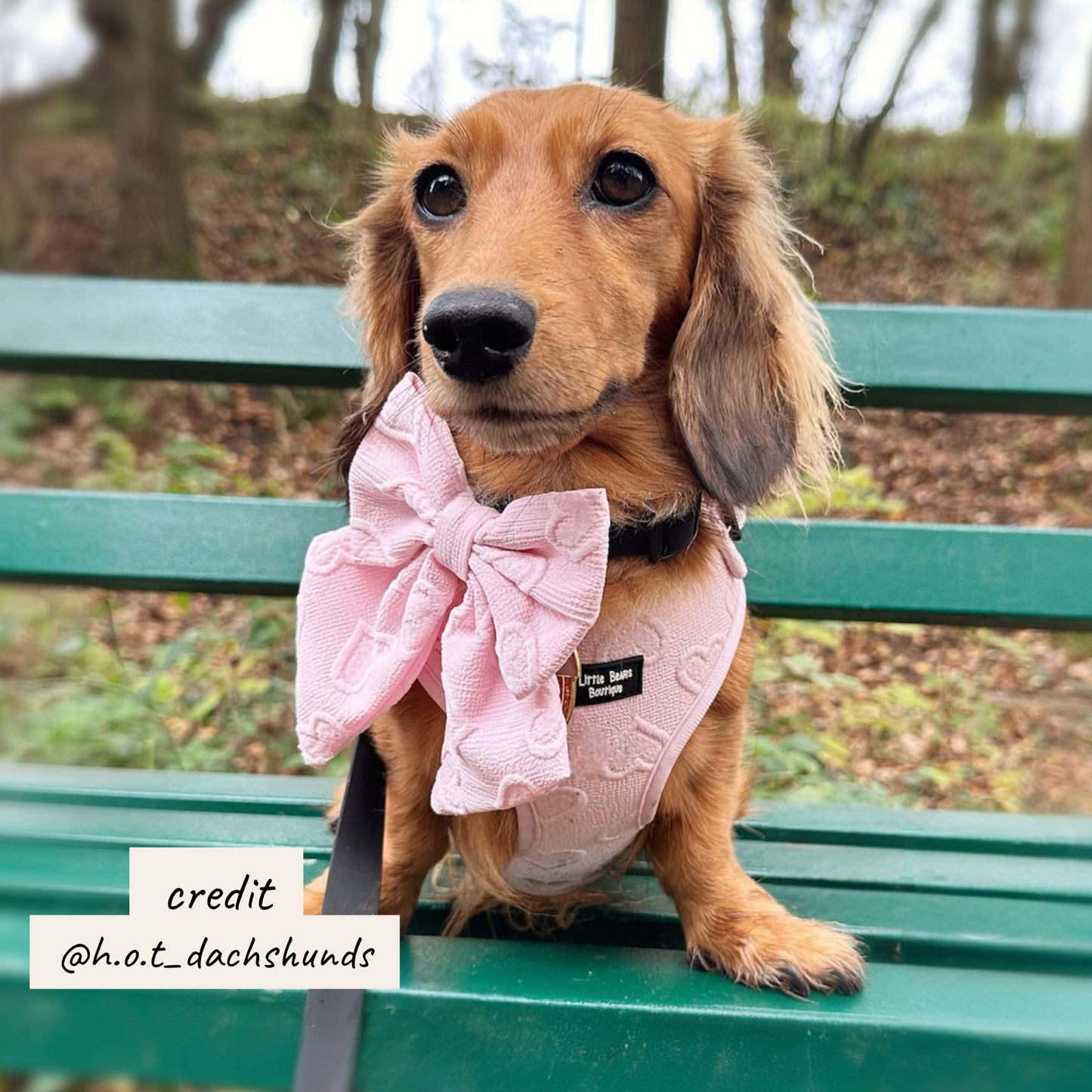 Sweetheart Snuggles  Sailor Bow