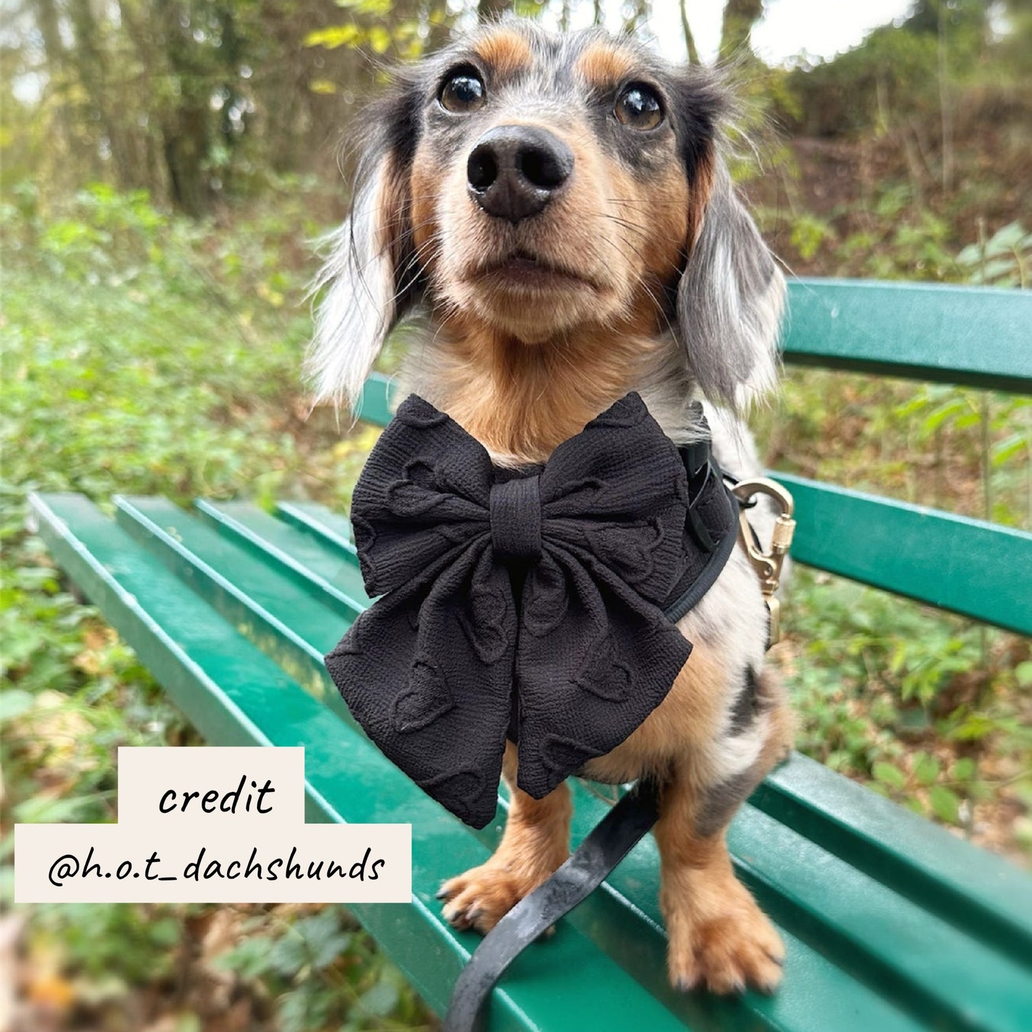 Midnight Hearts Sailor Bow Tie