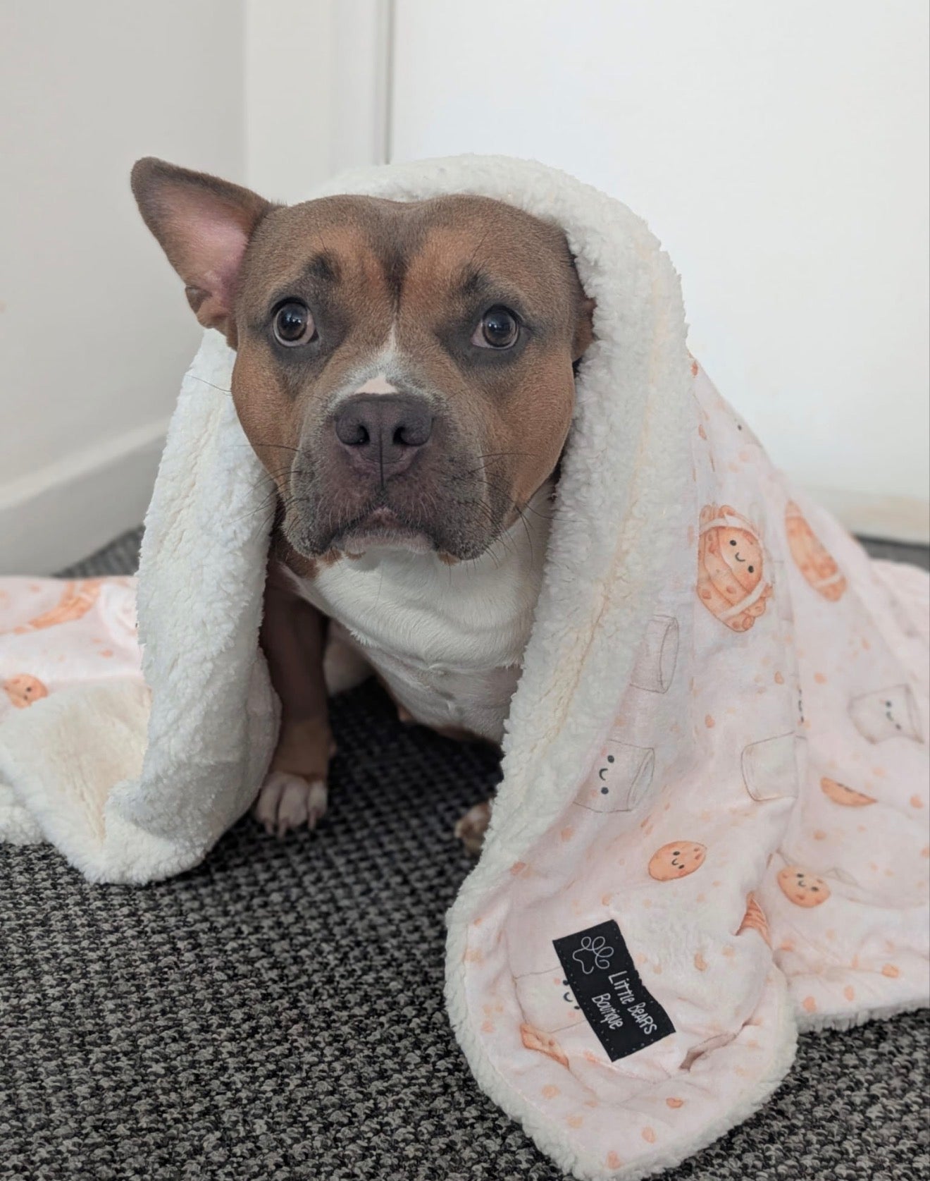 Buttery Brunch Blanket