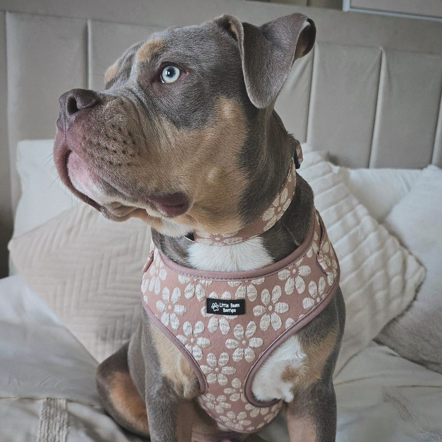 Neutral Floral Jacquard Harness