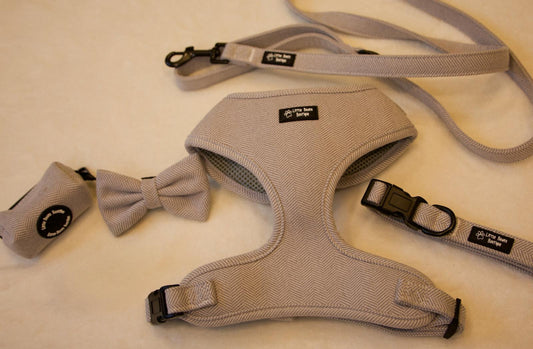 Modern Muse 5 Piece Bundle