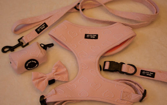 Sweetheart Snuggles 5 Piece Bundle